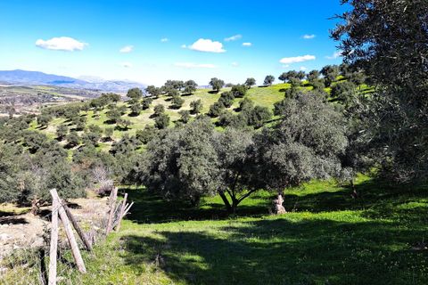 Helårsgrund i Coin, Malaga, Coin - € 140.000 | Ref: R4254559 - foto 24
