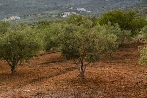 Helårsgrund i Pratdip, Tarragona, Pratdip - € 120.000 | Ref: es5553598 - foto 3