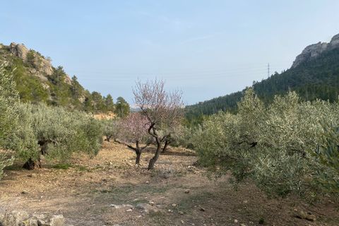 Helårsgrund i Pratdip, Tarragona, Pratdip - € 120.000 | Ref: es5553598 - foto 4