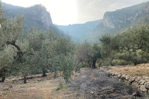 Helårsgrund i Pratdip, Tarragona, Pratdip - € 120.000 | Ref: es5553598 - foto 10