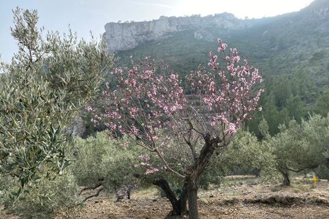 Helårsgrund i Pratdip, Tarragona, Pratdip - € 120.000 | Ref: es5553598 - foto 7