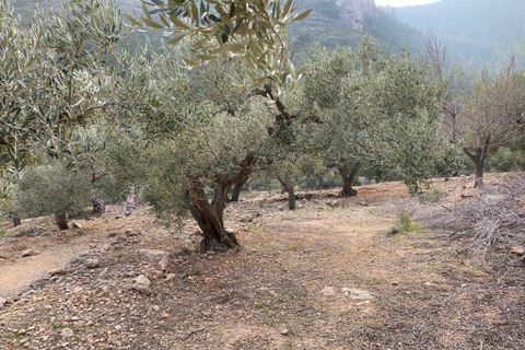 Helårsgrund i Pratdip, Tarragona, Pratdip - € 120.000 | Ref: es5553598 - foto 8