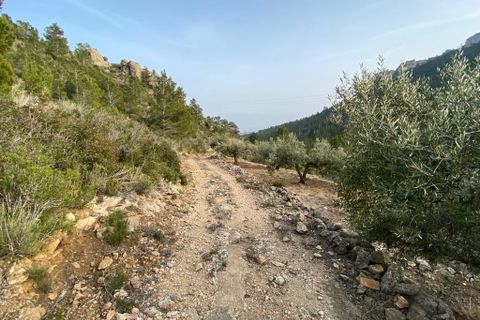 Helårsgrund i Pratdip, Tarragona, Pratdip - € 120.000 | Ref: es5553598 - foto 9
