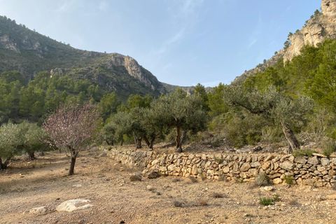 Helårsgrund i Pratdip, Tarragona, Pratdip - € 120.000 | Ref: es5553598 - foto 17