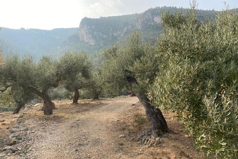 Helårsgrund i Pratdip, Tarragona, Pratdip - € 120.000 | Ref: es5553598 - foto 18