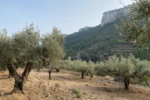Helårsgrund i Pratdip, Tarragona, Pratdip - € 120.000 | Ref: es5553598 - foto 15