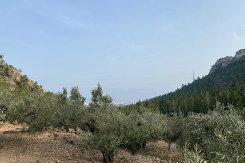 Helårsgrund i Pratdip, Tarragona, Pratdip - € 120.000 | Ref: es5553598 - foto 16
