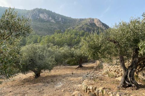 Helårsgrund i Pratdip, Tarragona, Pratdip - € 120.000 | Ref: es5553598 - foto 22