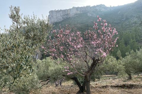 Helårsgrund i Pratdip, Tarragona, Pratdip - € 120.000 | Ref: es5553598 - foto 23