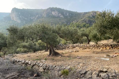 Helårsgrund i Pratdip, Tarragona, Pratdip - € 120.000 | Ref: es5553598 - foto 20