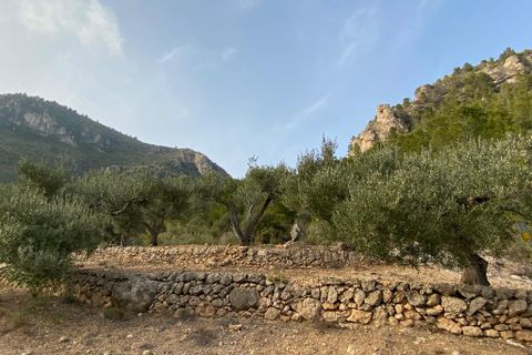 Helårsgrund i Pratdip, Tarragona, Pratdip - € 120.000 | Ref: es5553598 - foto 19