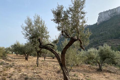 Helårsgrund i Pratdip, Tarragona, Pratdip - € 120.000 | Ref: es5553598 - foto 24