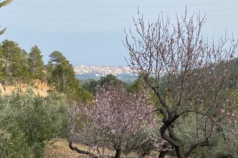 Helårsgrund i Pratdip, Tarragona, Pratdip - € 120.000 | Ref: es5553598 - foto 25