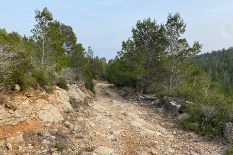 Helårsgrund i Pratdip, Tarragona, Pratdip - € 120.000 | Ref: es5553598 - foto 47