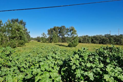 Helårsgrund i Setubal, Setubal, Setubal - € 270.000 | Ref: TR2508 - foto 2