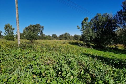 Helårsgrund i Setubal, Setubal, Setubal - € 270.000 | Ref: TR2508 - foto 3