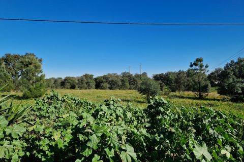 Helårsgrund i Setubal, Setubal, Setubal - € 270.000 | Ref: TR2508 - foto 4