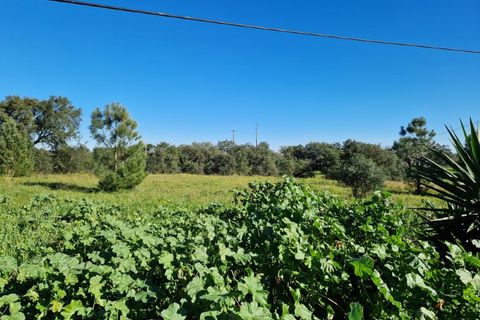 Helårsgrund i Setubal, Setubal, Setubal - € 270.000 | Ref: TR2508 - foto 5