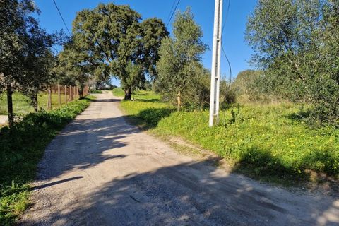 Helårsgrund i Setubal, Setubal, Setubal - € 270.000 | Ref: TR2508 - foto 6
