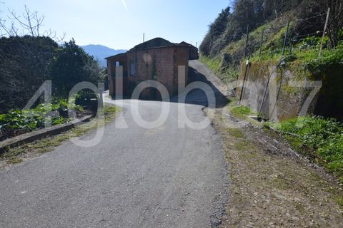 Erhvervsejendom i Sever do Vouga, Aveiro, Sever do Vouga - € 60.000 | Ref: QTA_02234331 - foto 6