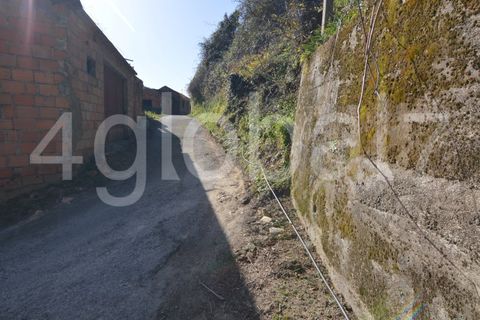 Erhvervsejendom i Sever do Vouga, Aveiro, Sever do Vouga - € 60.000 | Ref: QTA_02234331 - foto 7