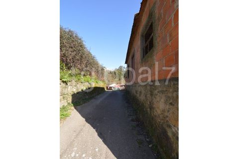 Erhvervsejendom i Sever do Vouga, Aveiro, Sever do Vouga - € 60.000 | Ref: QTA_02234331 - foto 9