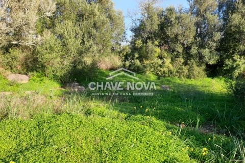 Helårsgrund i Silves, Faro, Silves - € 249.500 | Ref: GN/01621 - foto 3
