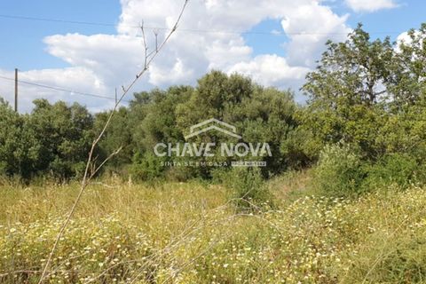 Helårsgrund i Silves, Faro, Silves - € 249.500 | Ref: GN/01621 - foto 4