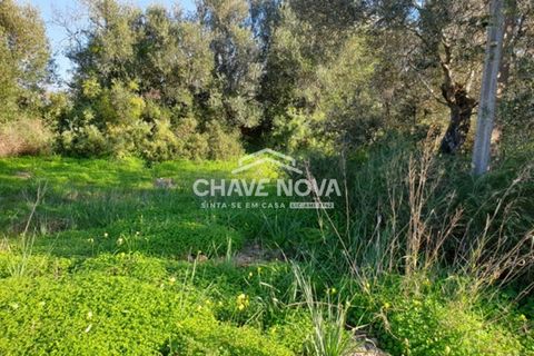 Helårsgrund i Silves, Faro, Silves - € 249.500 | Ref: GN/01621 - foto 7