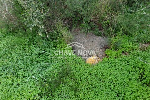 Helårsgrund i Silves, Faro, Silves - € 249.500 | Ref: GN/01621 - foto 8