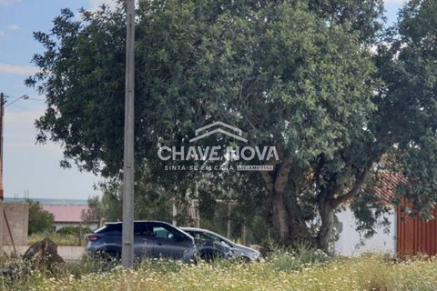 Helårsgrund i Silves, Faro, Silves - € 249.500 | Ref: GN/01621 - foto 9