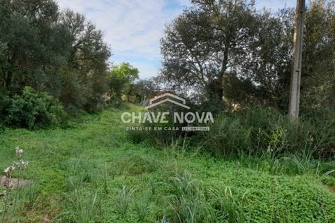 Helårsgrund i Silves, Faro, Silves - € 249.500 | Ref: GN/01621 - foto 10