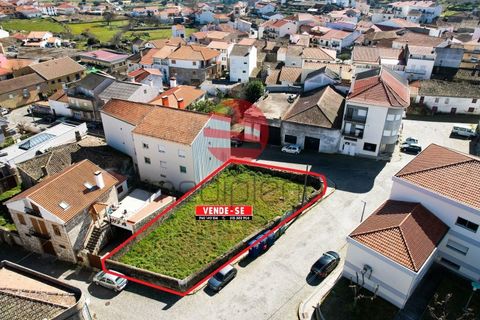 Terra a Meda, Guarda, Meda - € 105.000 | Ref: 396/MDA - foto 2