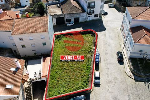 Terra a Meda, Guarda, Meda - € 105.000 | Ref: 396/MDA - foto 3