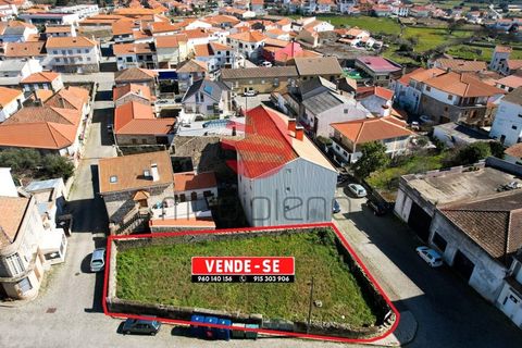 Terra a Meda, Guarda, Meda - € 105.000 | Ref: 396/MDA - foto 4