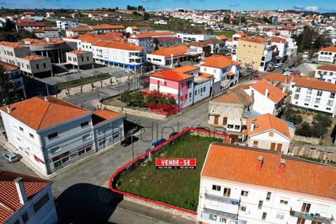 Terra a Meda, Guarda, Meda - € 105.000 | Ref: 396/MDA - foto 6