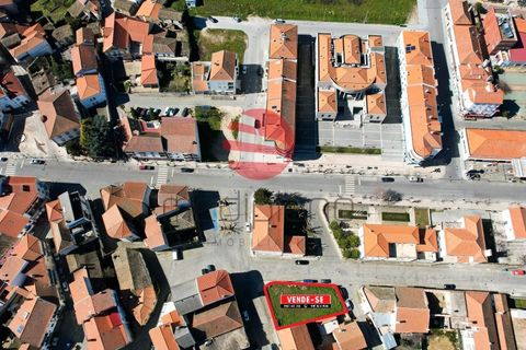 Terra a Meda, Guarda, Meda - € 105.000 | Ref: 396/MDA - foto 9