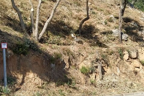 Helårsgrund i Calonge, Gerona, Calonge - € 110.000 | Ref: PAR0005 - foto 5