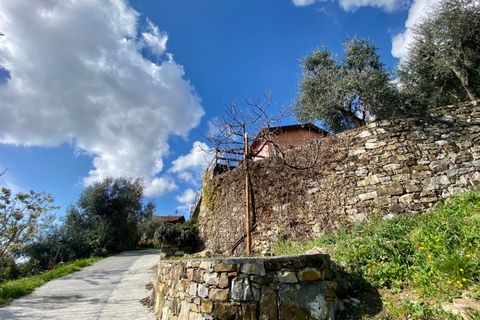 Villa i Villa Faraldi, Imperia, Villa Faraldi - € 193.000 | Ref: 1010 - foto 2