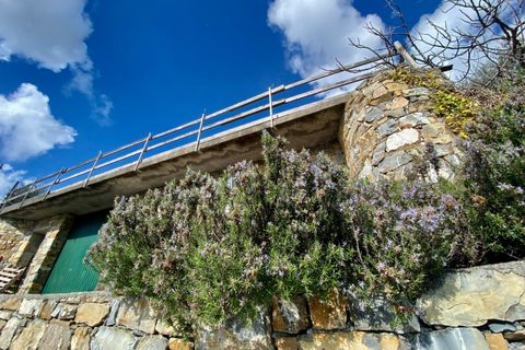 Villa i Villa Faraldi, Imperia, Villa Faraldi - € 193.000 | Ref: 1010 - foto 3