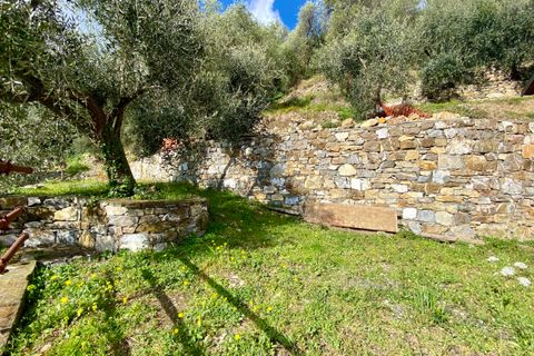 Villa i Villa Faraldi, Imperia, Villa Faraldi - € 193.000 | Ref: 1010 - foto 12