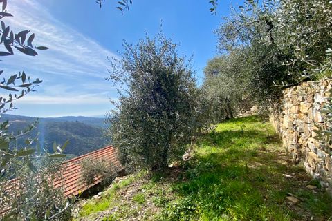Villa i Villa Faraldi, Imperia, Villa Faraldi - € 193.000 | Ref: 1010 - foto 15