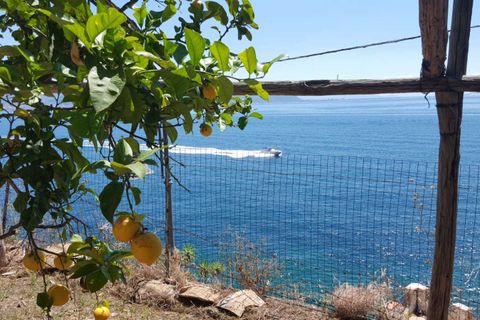 Villa i Cetara, Salerno, Cetara - € 750.000 | Ref: ABVC020 - foto 8