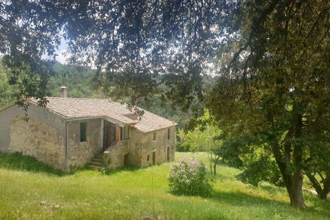 Villa a Orvieto, Terni, Orvieto - € 300.000 | Ref: PRODO02 - foto 3