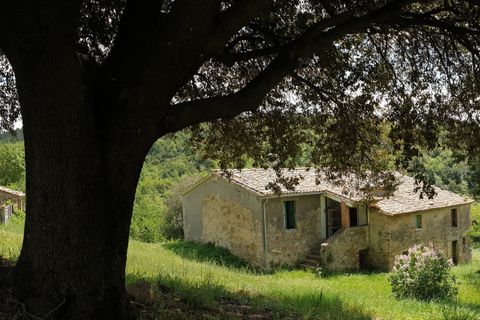 Villa a Orvieto, Terni, Orvieto - € 300.000 | Ref: PRODO02 - foto 7