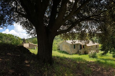 Villa a Orvieto, Terni, Orvieto - € 300.000 | Ref: PRODO02 - foto 9