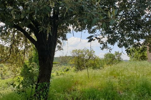Villa a Orvieto, Terni, Orvieto - € 300.000 | Ref: PRODO02 - foto 15