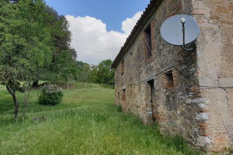 Villa a Orvieto, Terni, Orvieto - € 300.000 | Ref: PRODO02 - foto 29