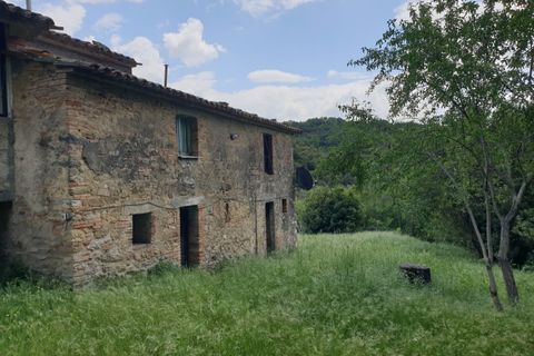 Villa a Orvieto, Terni, Orvieto - € 300.000 | Ref: PRODO02 - foto 34