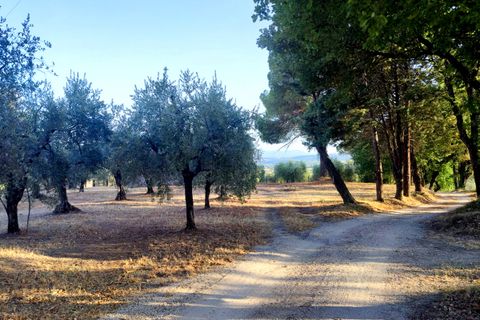 Villa a Baschi, Terni, Baschi - € 265.000 | Ref: BASCHI04 - foto 2